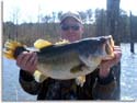 Mississippi Largemouth Bass