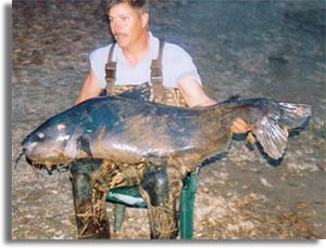 North Carolina State Record Blue Catfish