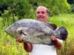 State Record Marine Tripletail