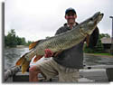 State Record Tiger Muskie