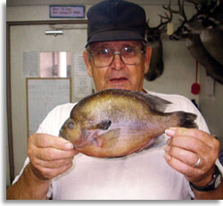 Alabama Record Redbreast Sunfish