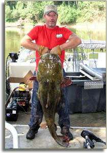North Carolina State Record Flathead Catfish
