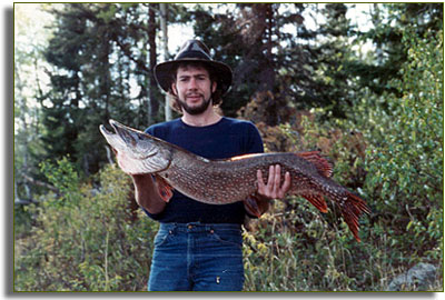 Todd's Northern Pike