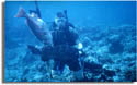 Spear Fishing