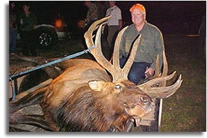 Don Wood - Gene Rush WMA Elk