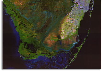 Everglades From Space