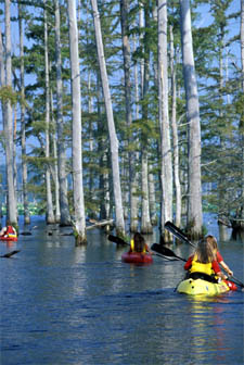Cane Creek State Park