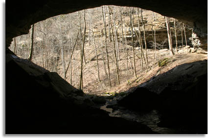 Bunkum Cave Entrance