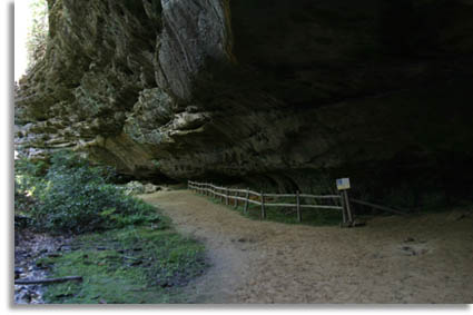 Hazard Cave Pickett State Park