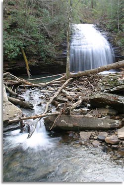 Stinging Fork Falls