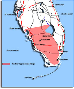 Florida Panther Range Map